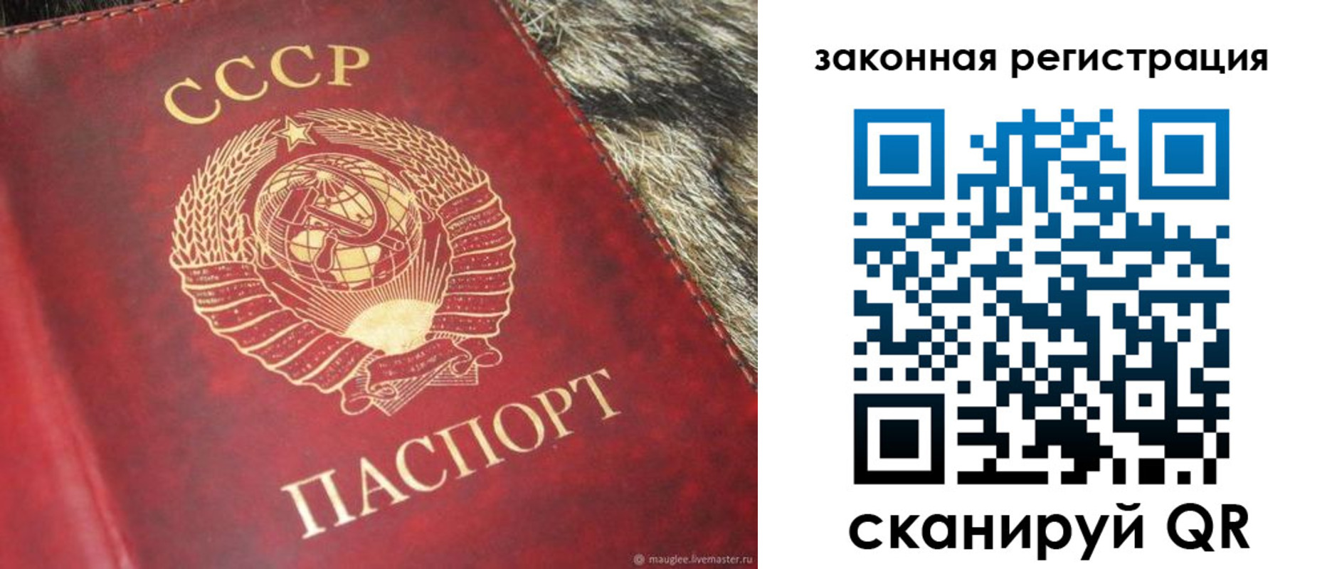 прописка от собственника в Вольске